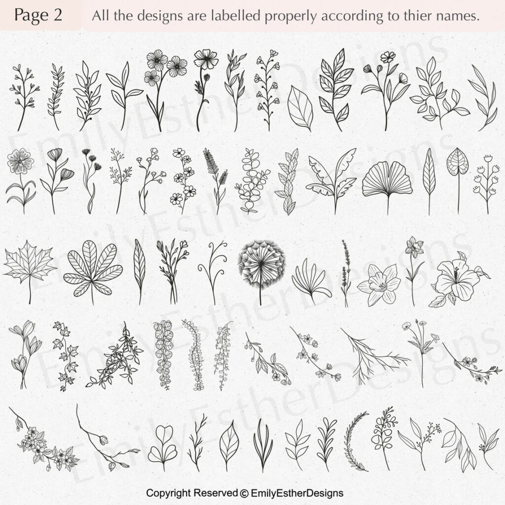 200 Botanical Svg Set, Flower Svg, Botanical Clipart – MasterBundles