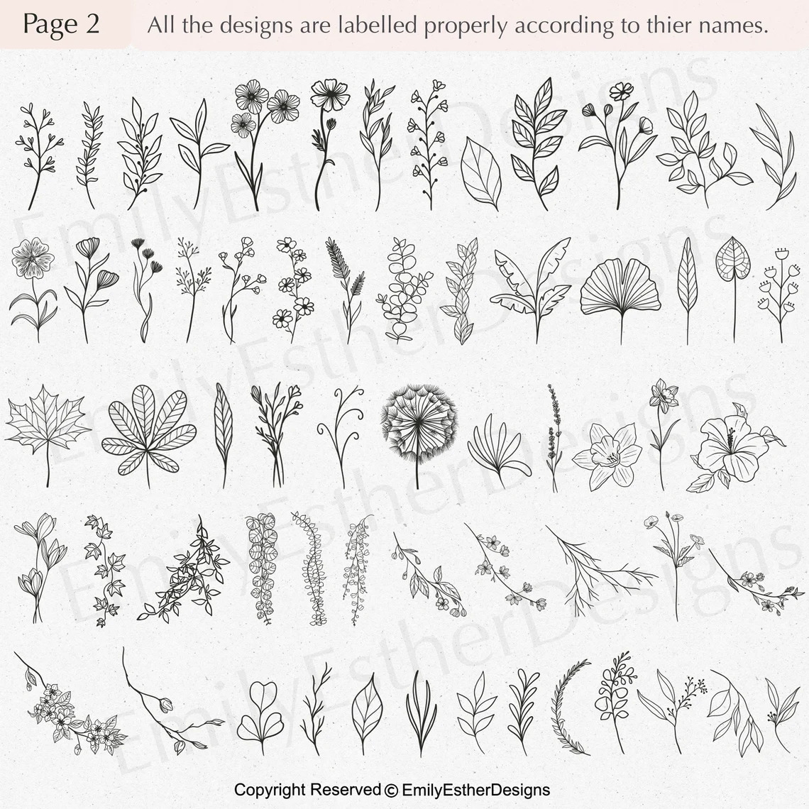 Suggested plants for your prints.
