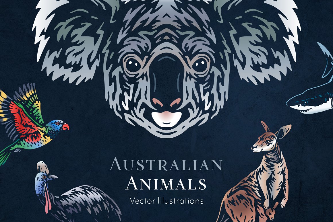 Australian animals cover with image koala.