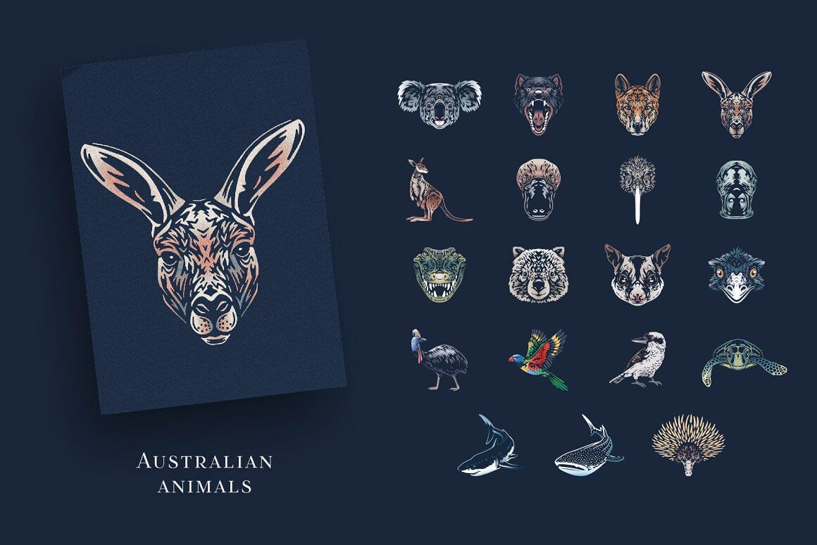 Australian animals with image kangaroo.