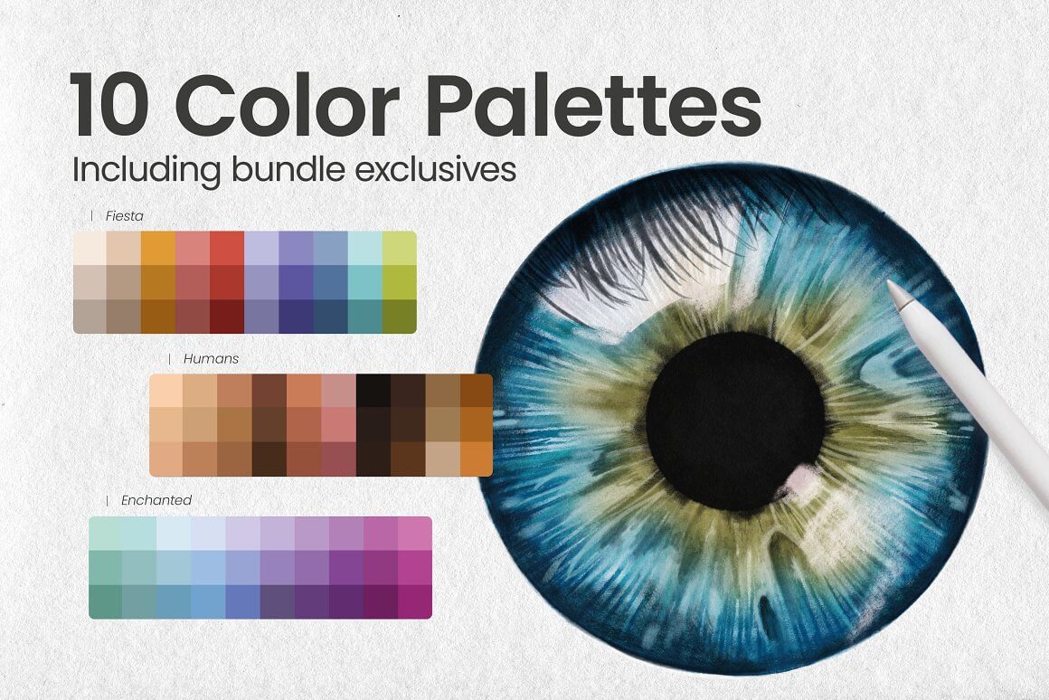 10 color palettes including bundle exclusives.