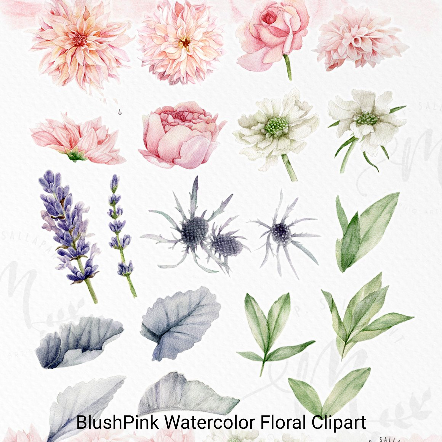 BlushPink Watercolor Floral Clipart - Preview Image.
