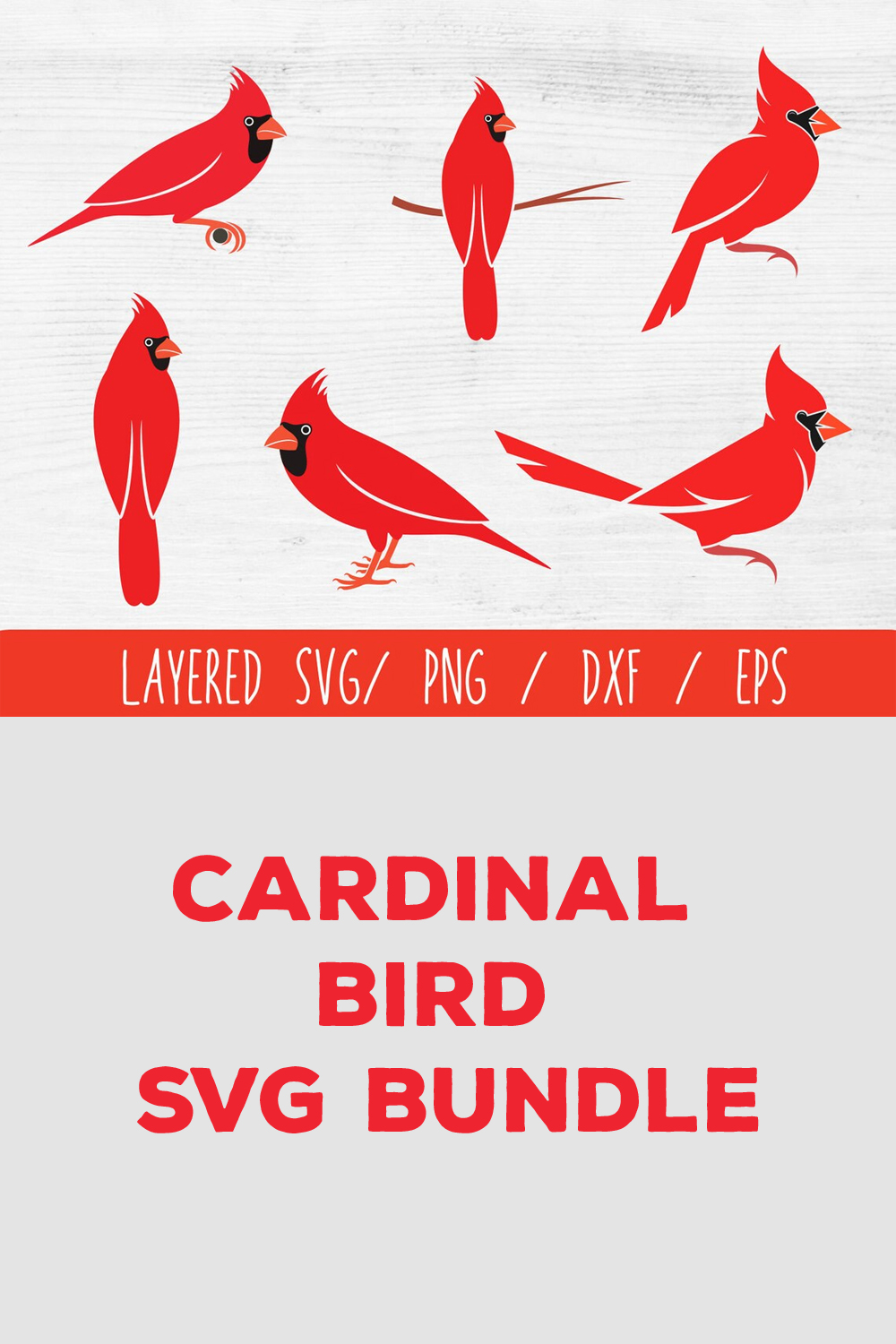 Cardinal bird svg bundle.