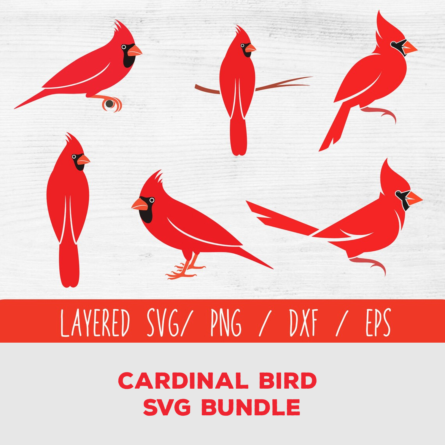 Cardinal bird svg bundle.