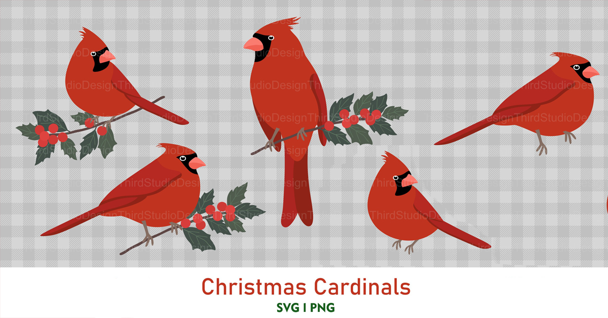 Cardinal Svg Cardinals Svg Cardinal Cardinals Clipart 