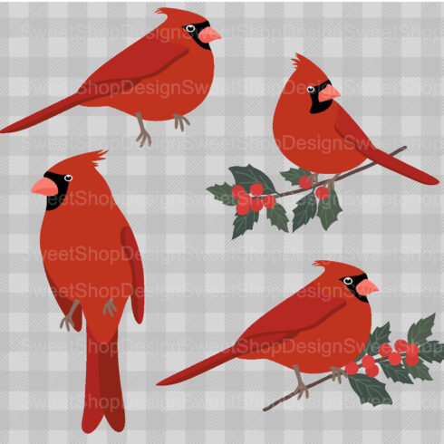 Three red birds sitting on a branch with holly.