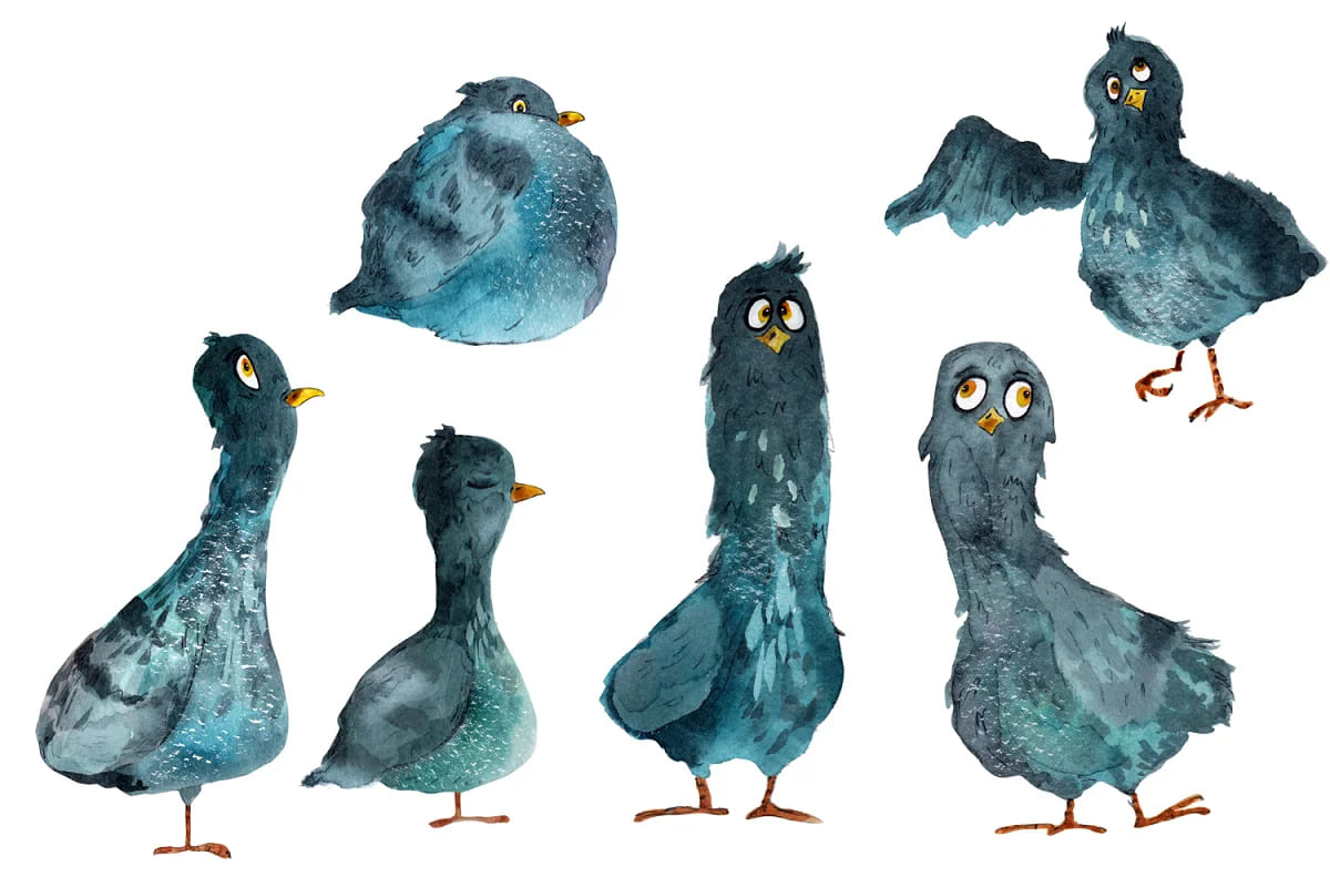 collection of watercolors pigeons birds.