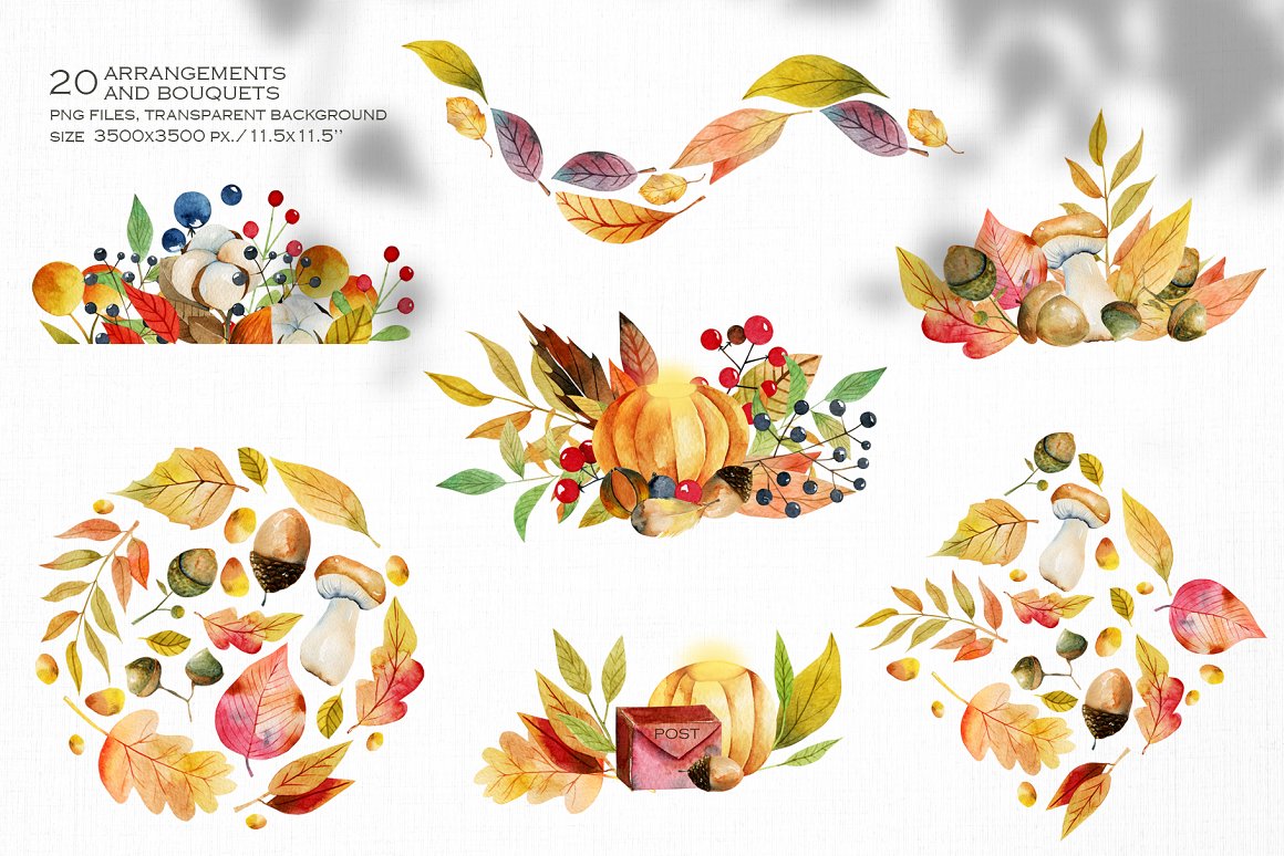 Leaves, plants, vegetables and fruits on the theme.