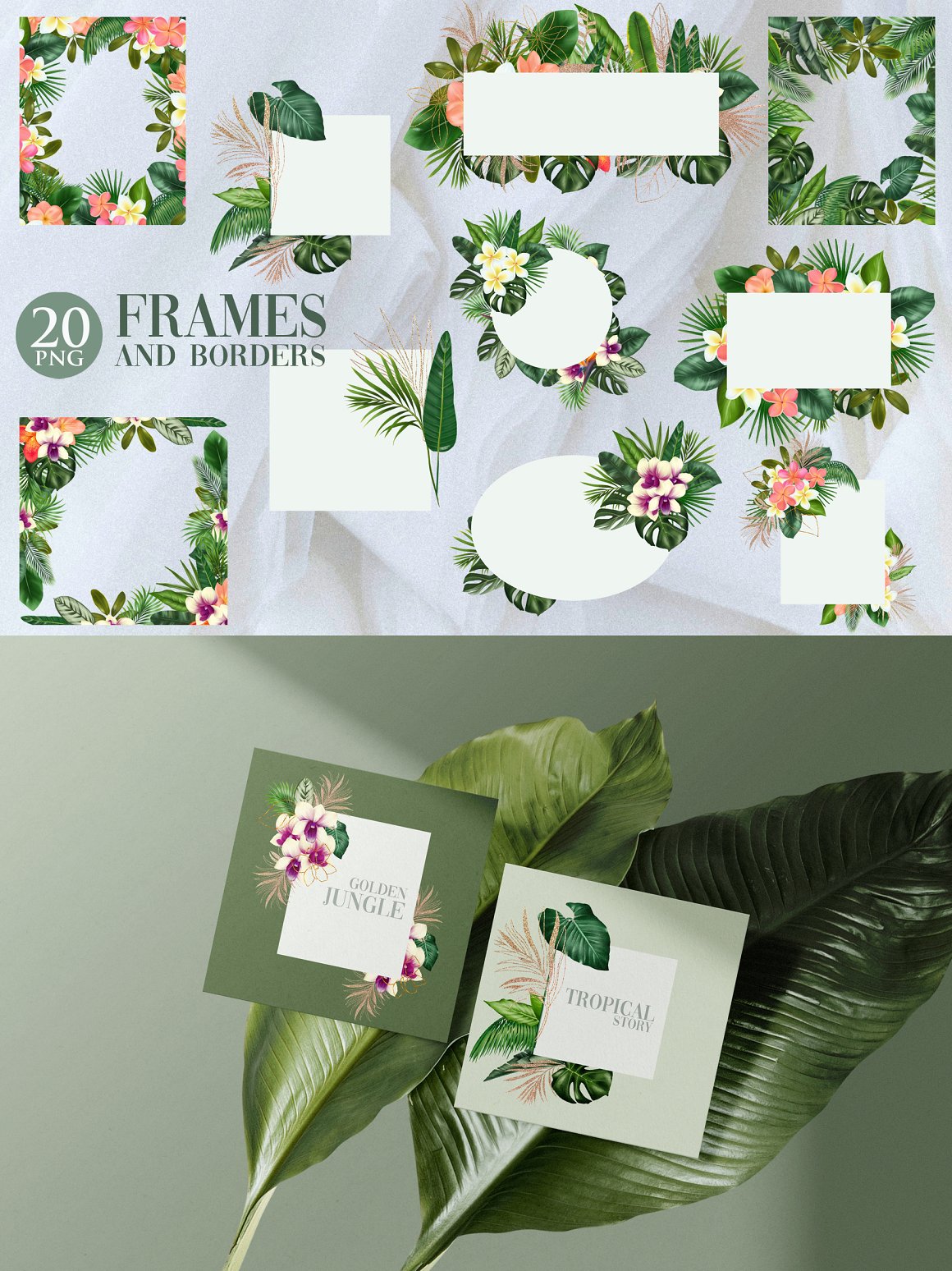 Frames with green plants.