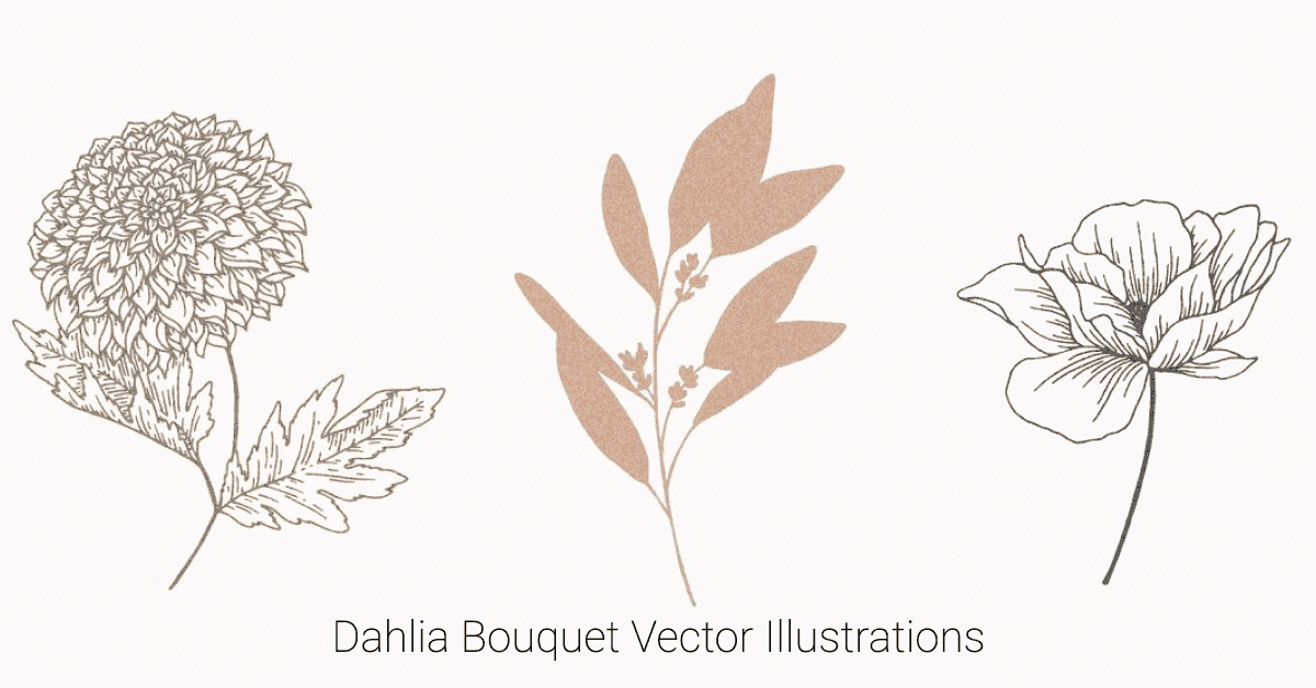 Dahlia Bouquet Vector Illustrations - Flowers And Foliage.