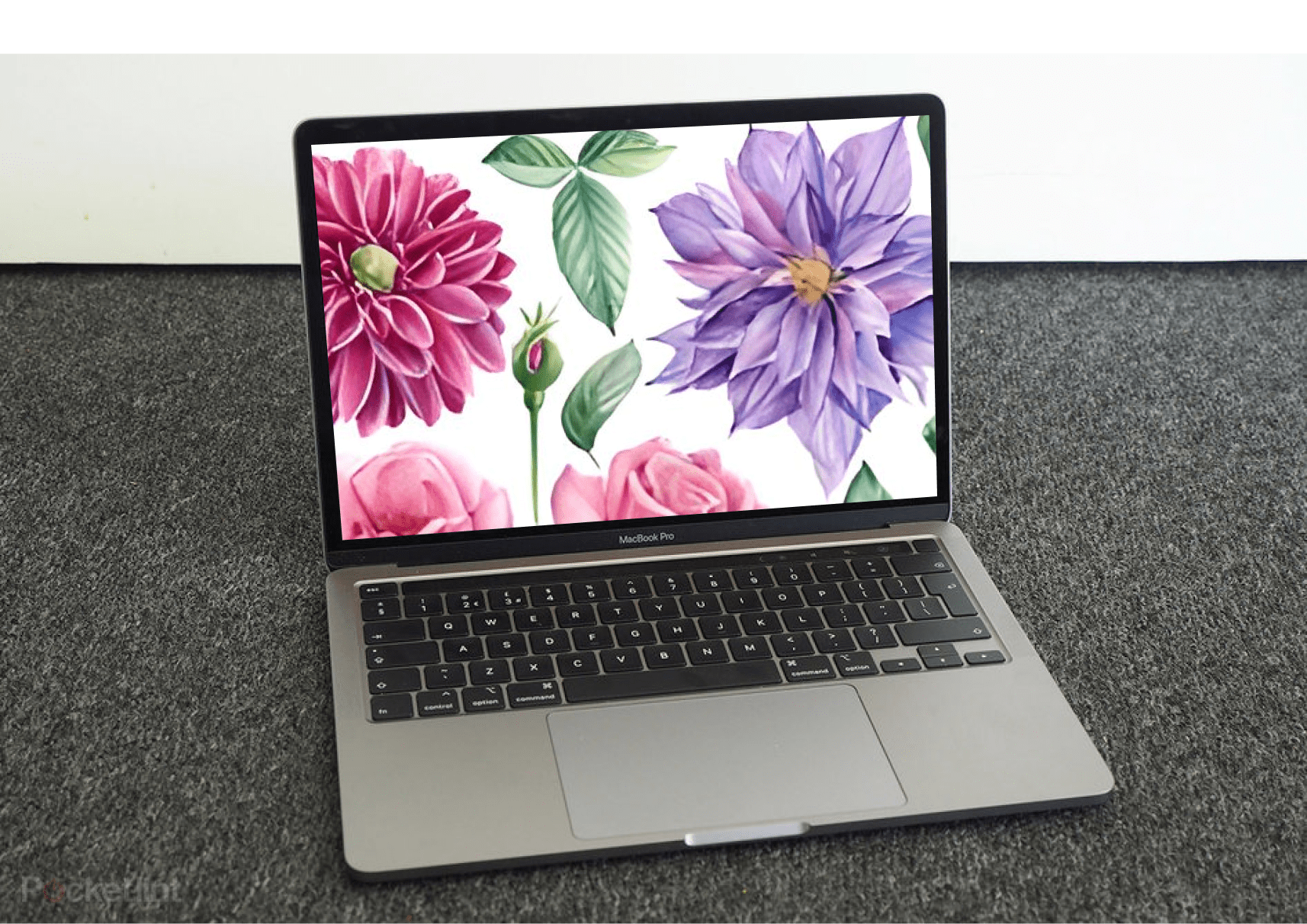 Delicate flowers - Flowers With Leaves On The Laptop.