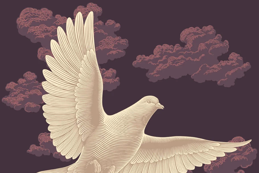 design set pigeons.vector engraving, white pigeon on dark background.