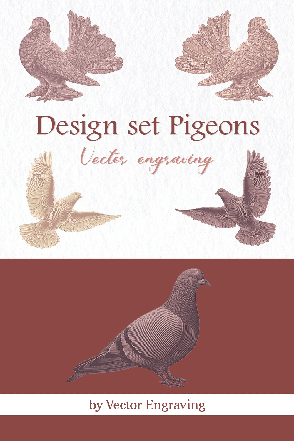 Design Set Pigeons.Vector Engraving pinterest image.