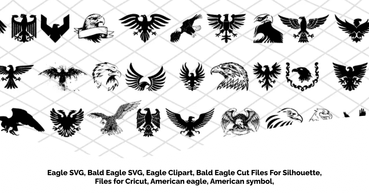 Bald Eagle SVG Bundle - Types Of Eagle.