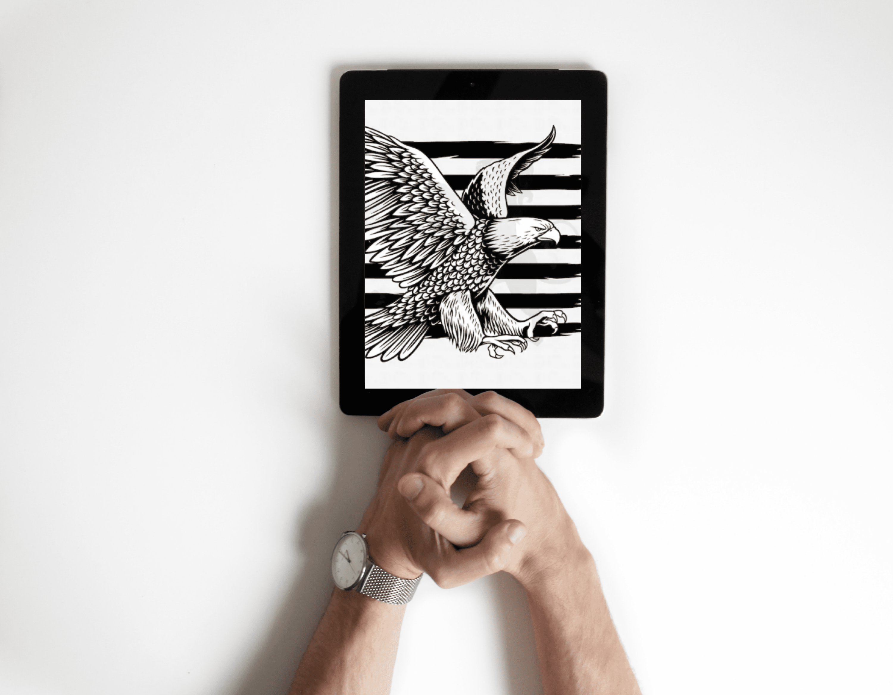 Person holding a tablet with an eagle on it.