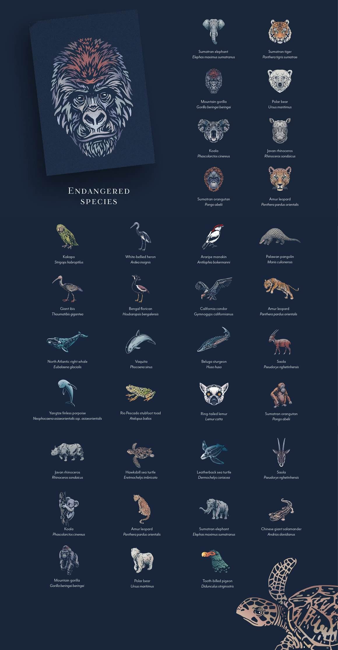 Endangered animals with image of gorila.