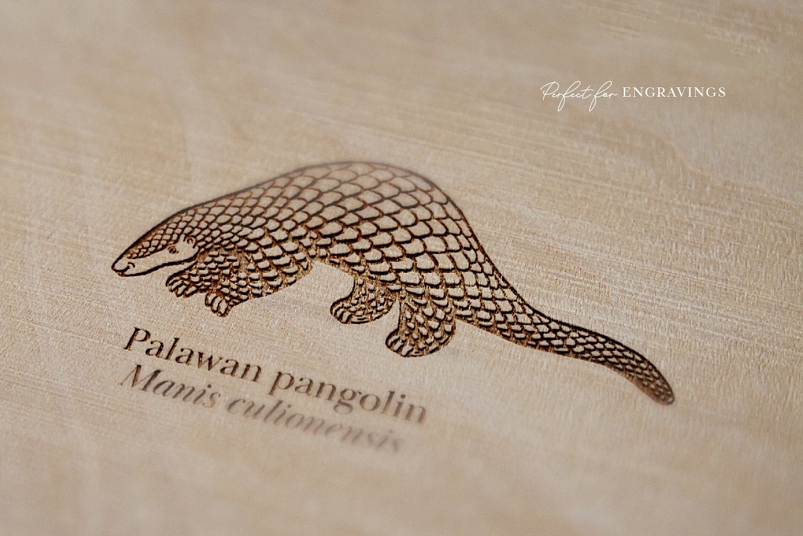 Endangered animals with image of pangolin wood engraving.