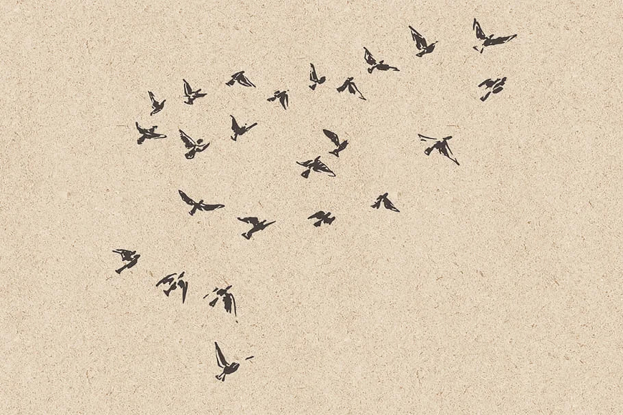 flocks of birds sketch style, illustrations collection.