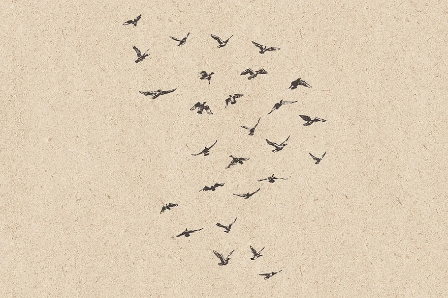flocks of birds sketch style cliparts.