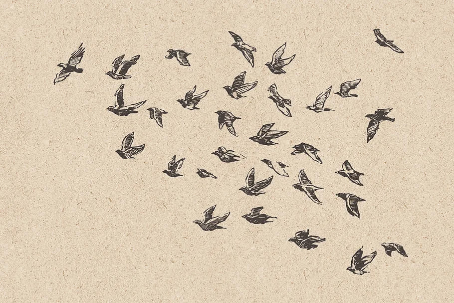 flocks of birds sketch style collection.