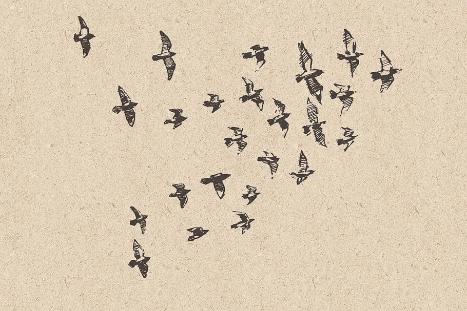 flocks of birds sketch style set.