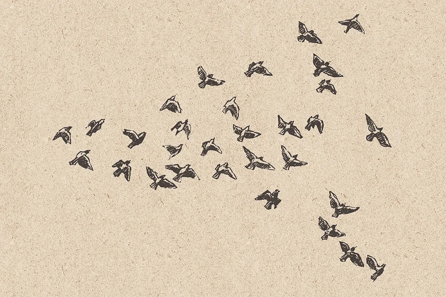 flocks of birds sketch style, illustrations set.