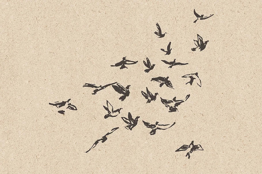 flocks of birds sketch style, clipart set.