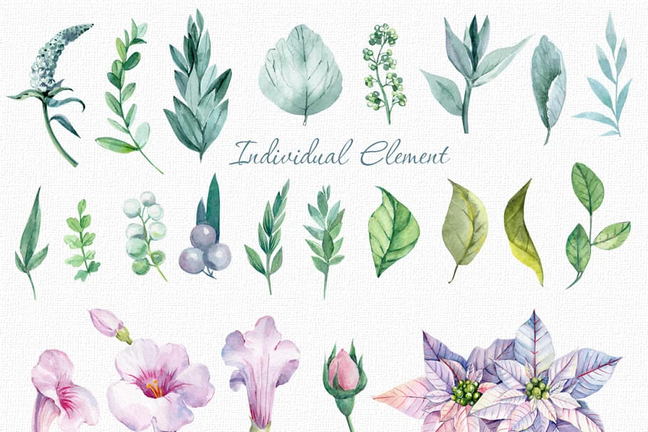 flower and bird clipart. watercolor, botanic elements.