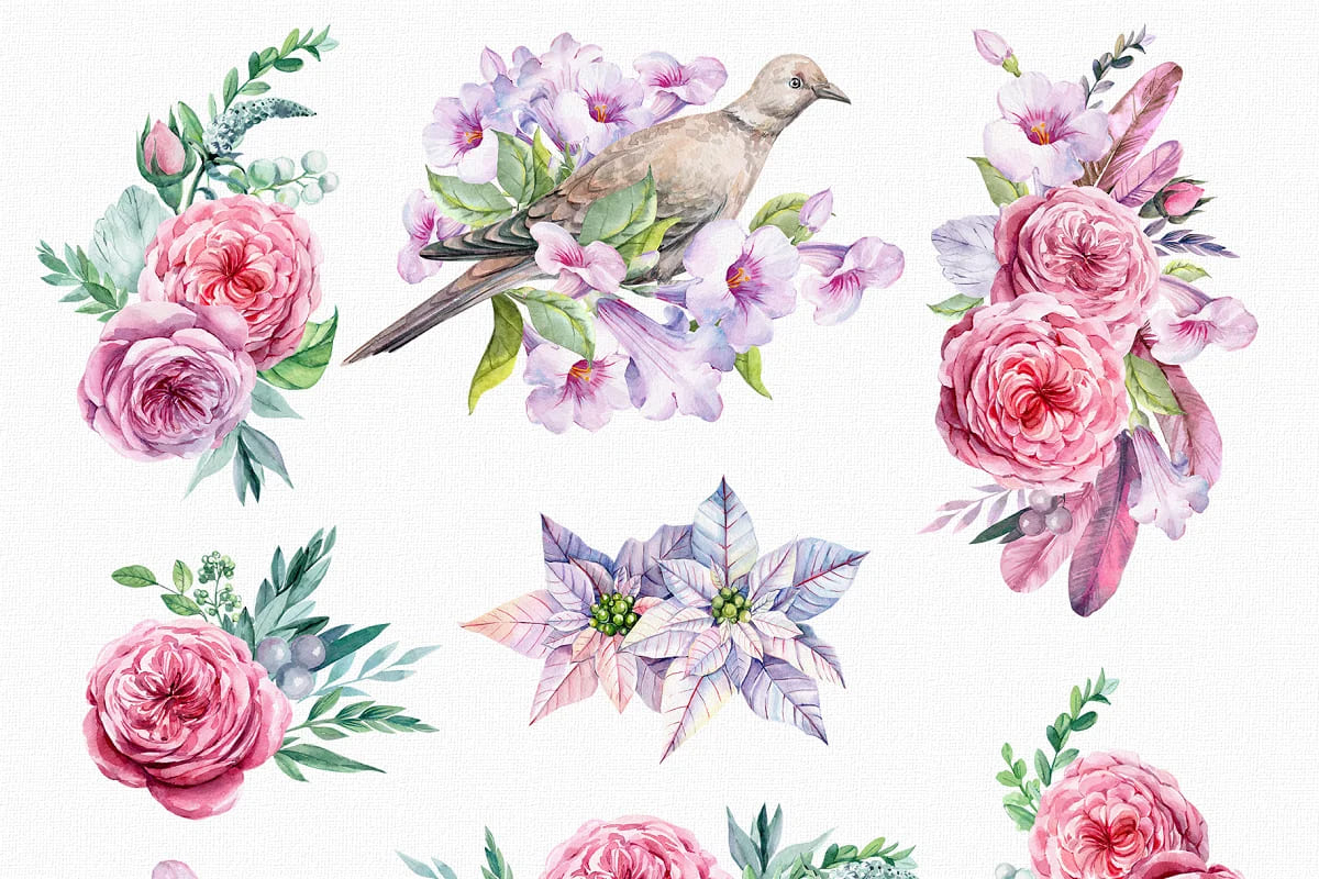 flower and bird clipart. watercolor compositions.