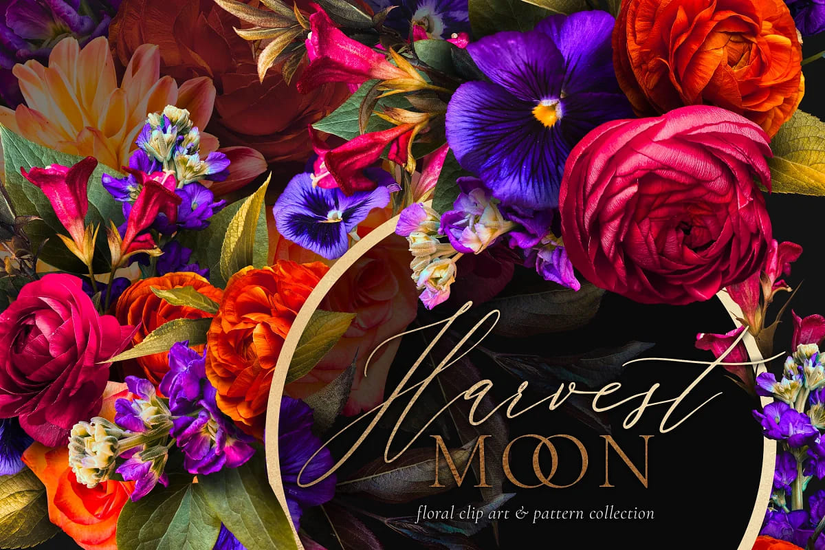 flower power mega bundle 4, harvest moon collection.
