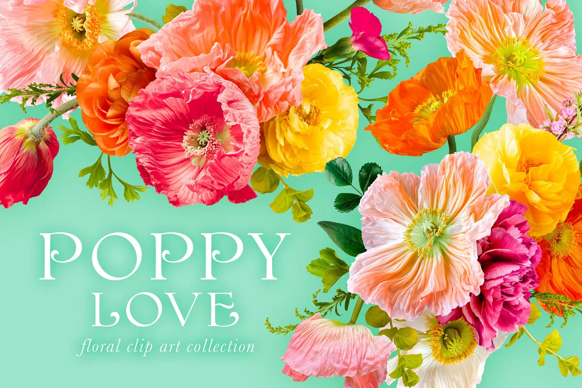 flower power mega bundle vol 3, poppy love floral collection.