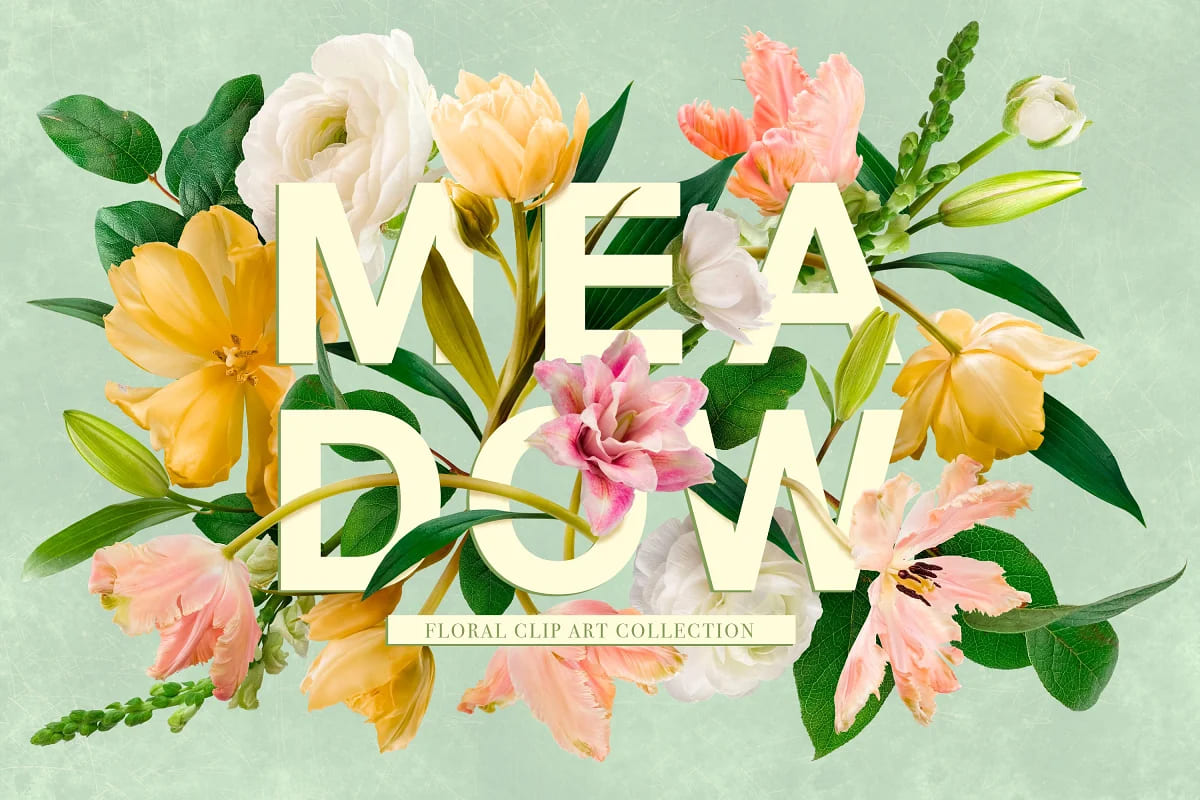 flower power mega bundle vol 3, meadow floral collection.