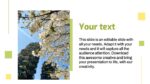 Free Ecology Powerpoint Template – MasterBundles