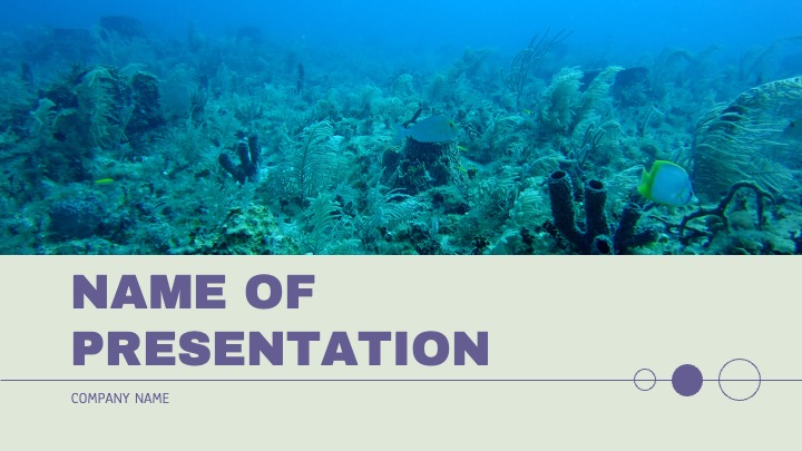Seabed with the name of the presentation.