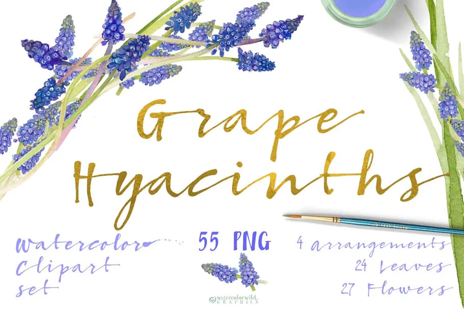 Grape Hyacinths_Blue Spring facebook image.