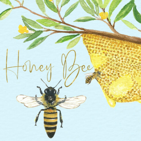 Honey Bee Watercolor Images - Preview Image.