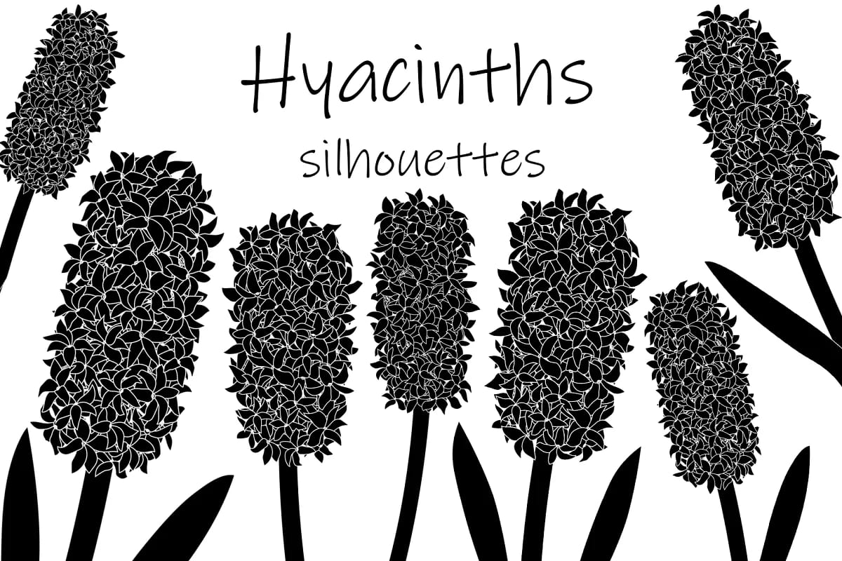 Hyacinths Flowers Silhouettes Vector facebook image.
