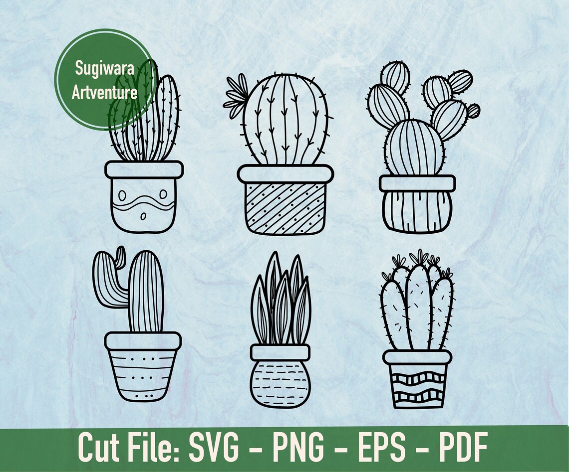 Different close-up images with cacti.