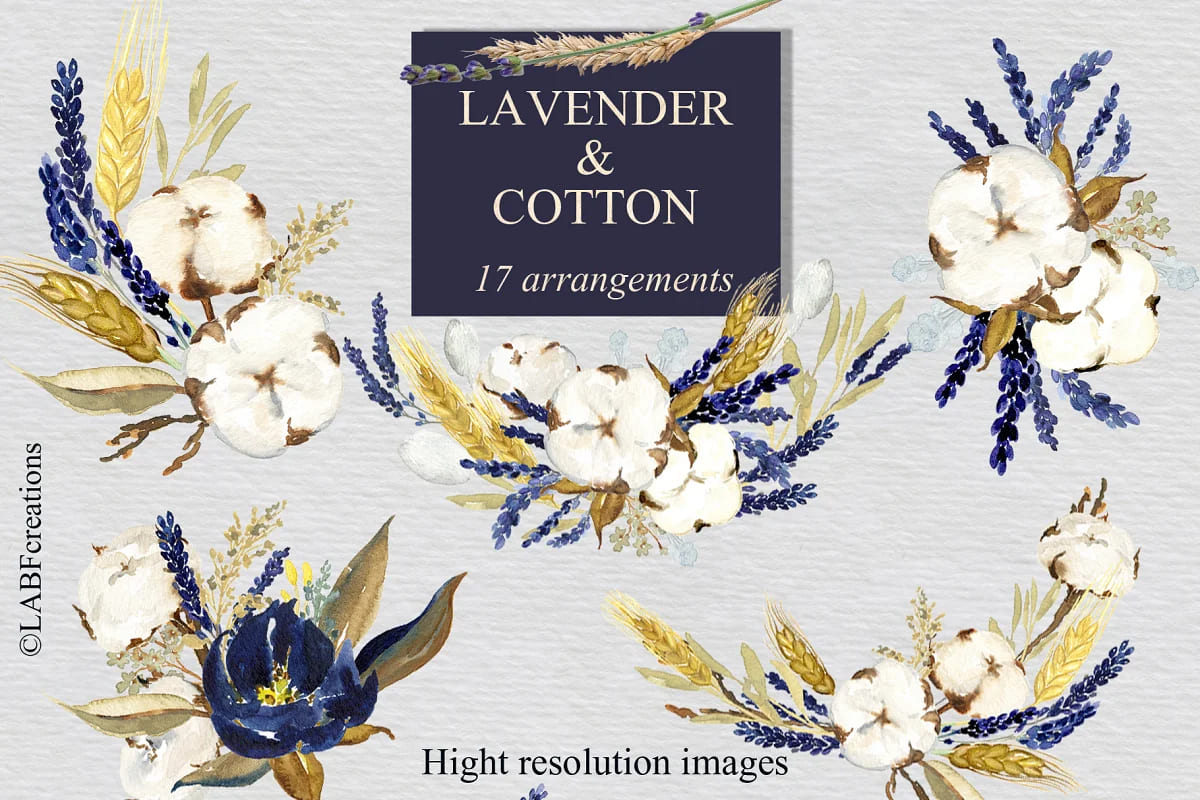 lavender and cotton compositions.