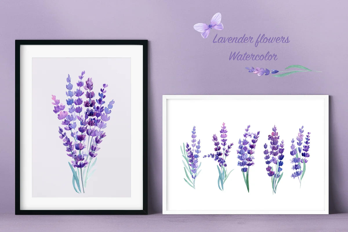 lavender flowers and butterflies, watercolor art.