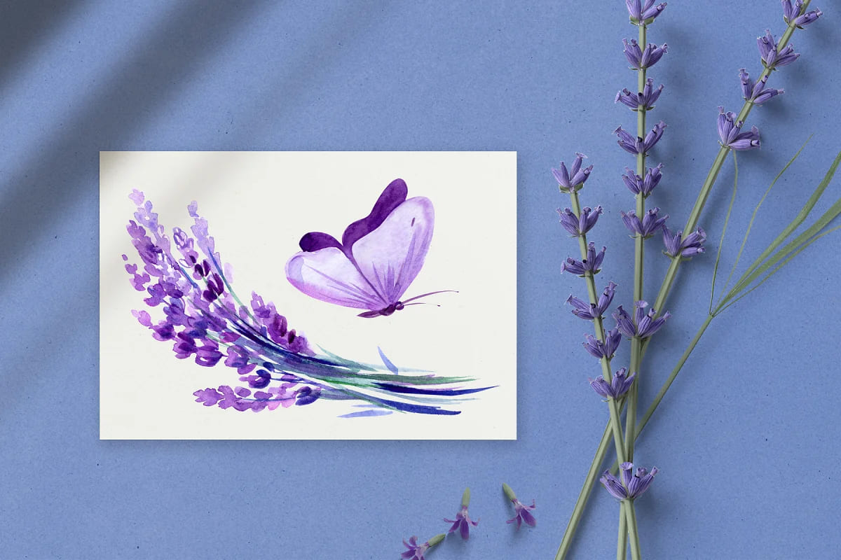 lavender flowers and butterflies for your beautiful designs.