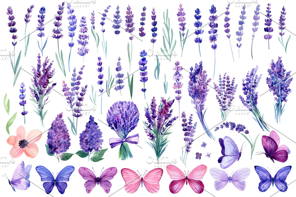 lavender flowers and butterflies design elements.