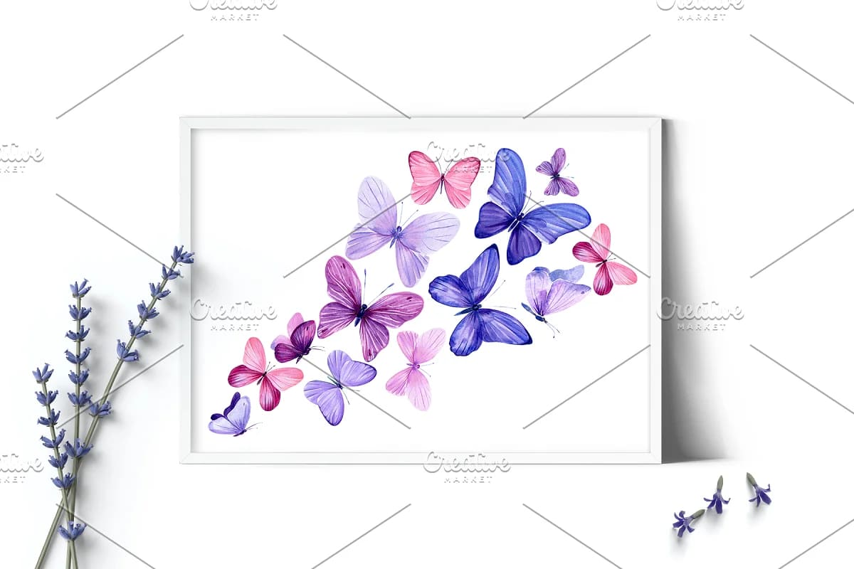 lavender flowers and butterflies, butterflies elements.