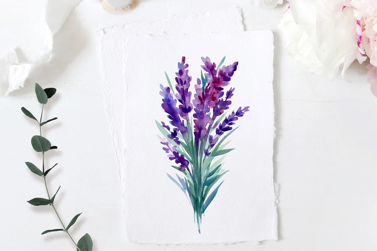 lavender flowers and butterflies watercolor graphics.