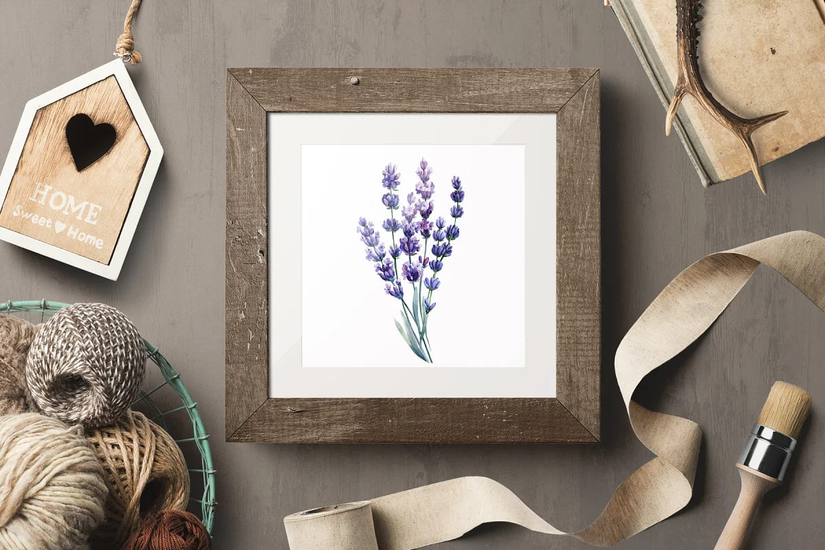 lavender flowers watercolor for your design.
