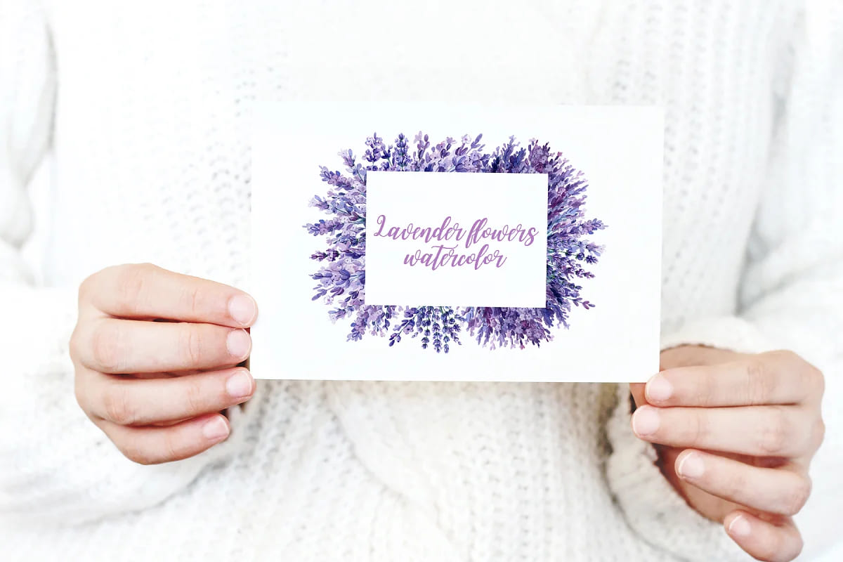 lavender flowers watercolor pack.