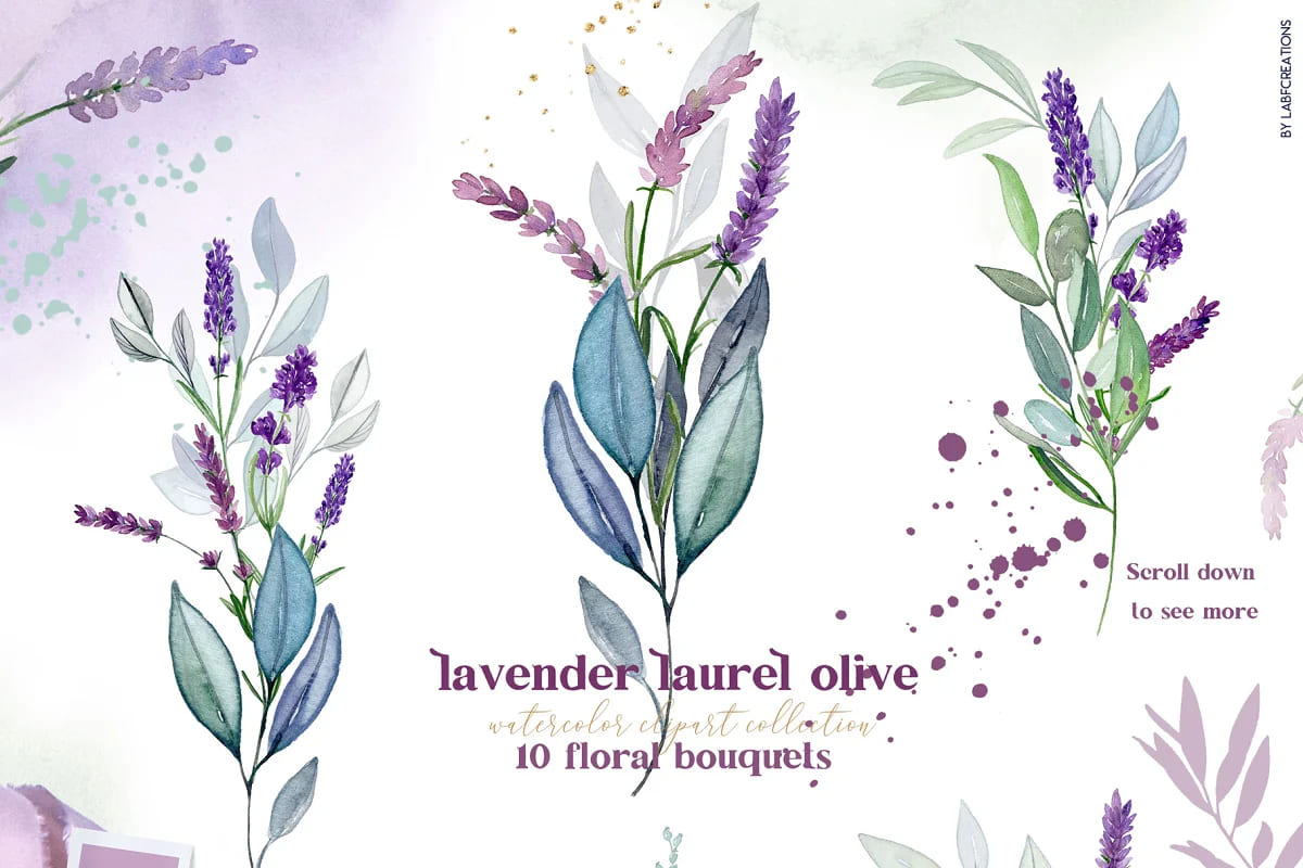 lavender laurel olive flowers set.