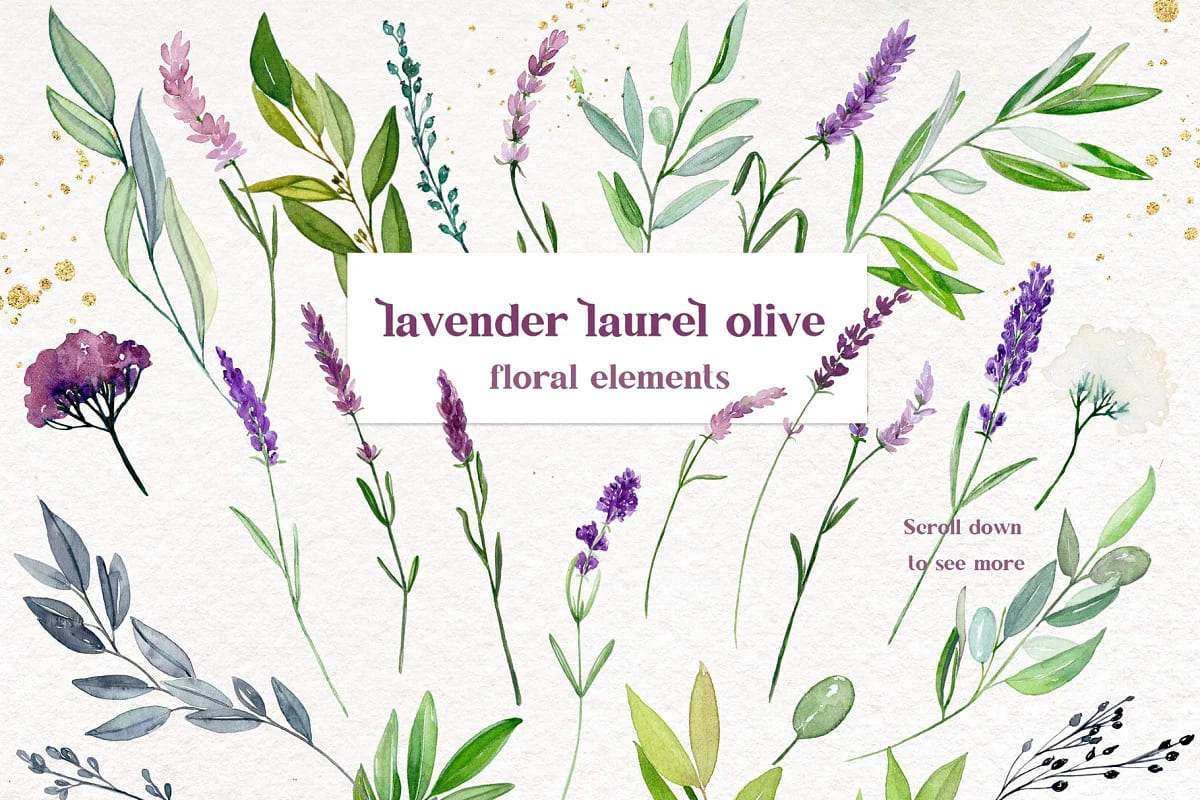 lavender laurel olive flowers, floral elements.