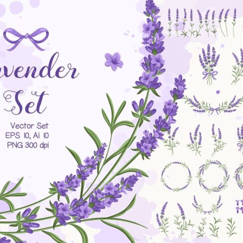 Lavender Set | Master Bundles