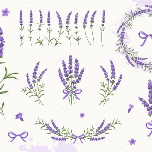 Lavender Set | Master Bundles